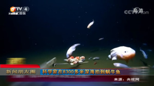 新闻朋友圈