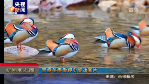朋友圈2023年4月10日