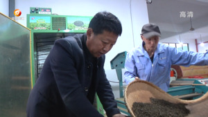 谢奇峰：抱团打造歙茶品牌