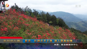 朋友圈2023年4月13日