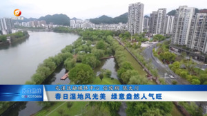 春日湿地风光美  绿意盎然人气旺