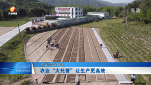 农业“大托管”让生产更高效