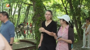 “中国版绿野仙踪”牵手“欧洲桃花源”