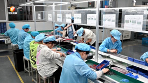 祁门：学生援岗实践 缓解企业茶季用工难
