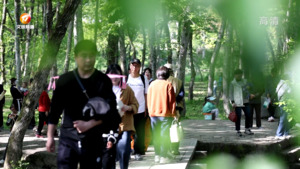 踏寻徽州谧静之地  享受春日绿野仙踪
