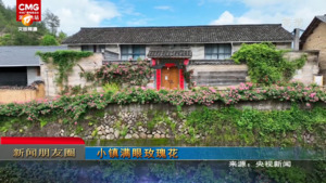 新闻朋友圈
