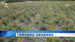 玫瑰花做糕点 浅尝初夏甜滋味