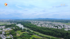 “绿野仙踪”西溪南