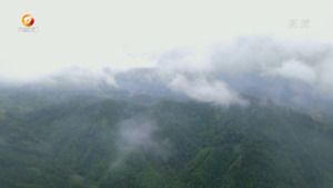 高山新雨后 云雾群山间