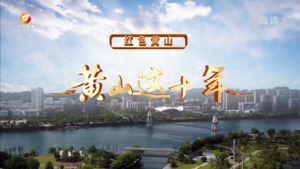 广袤沃野绘振兴  十年奋进谱华章