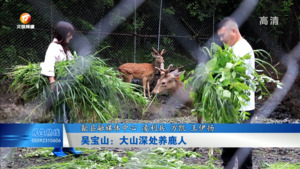 吴宝山：大山深处养鹿人