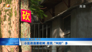 小区改造要砍树   居民“叫好”多