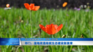 祁门：湿地改造绘就生态建设新篇章