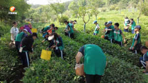 徽州区：提升旅游品质 助推旅游走“热”