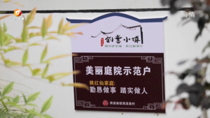 民生热线2023年6月15日
