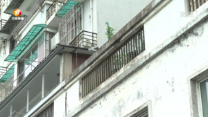 小区外墙斑驳脱落 业主希望修缮