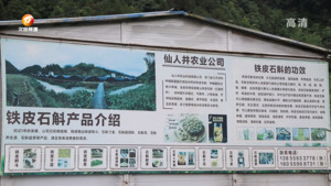 歙县：铁皮石斛产业助力乡村振兴