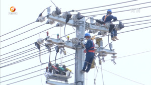 民生热线2023年7月3日
