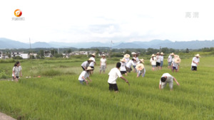 民生热线2023年7月6日