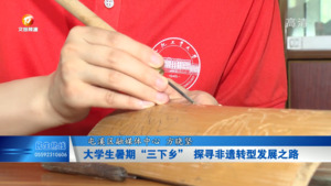 大学生暑期“三下乡” 探寻非遗转型发展之路