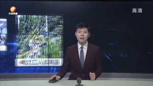 民生热线2023年7月16日