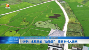 休宁：水稻里的“动物园” 美丽乡村入画来
