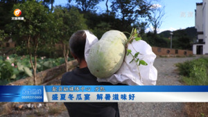 盛夏冬瓜宴 解暑滋味好