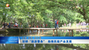 深耕“旅游警务”助推民宿产业发展