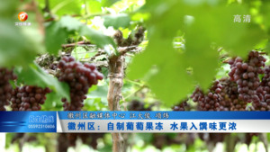 徽州区：自制葡萄果冻 水果入馔味更浓