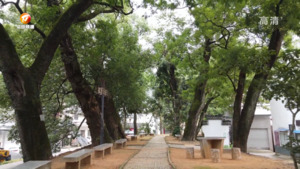 民生热线2023年8月13日