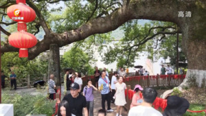 民生热线2023年8月16日