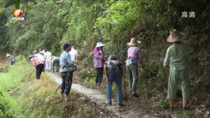 祁门：“拨路节”齐上阵 乡村道路焕新颜