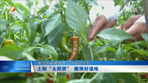 土制“太阳饼” 酸辣好滋味