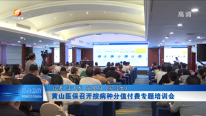 黄山医保召开按病种分值付费(DIP)专题培训会