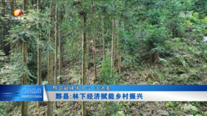 黟县:林下经济赋能乡村振兴