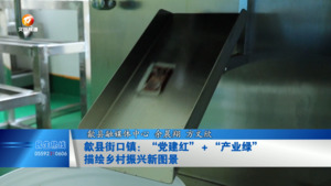 歙县街口镇：“党建红”＋“产业绿” 描绘乡村新图景