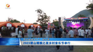 2023碧山精酿之夜乡村音乐节举行