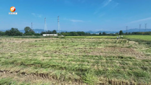 西溪南村：昔日闲置土地变身“良田”