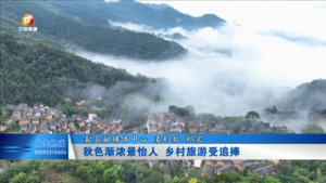秋色渐浓景怡人 乡村旅游受追捧
