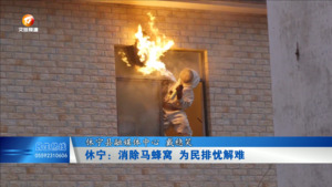 休宁：消除马蜂窝  为民排忧解难