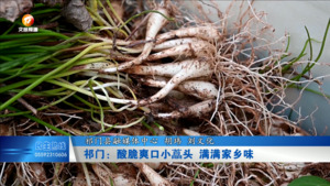 祁门：酸脆爽口小藠头 满满家乡味