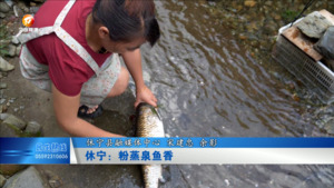 休宁： 粉蒸泉鱼香
