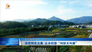 深挖特色元素 让乡村游“叫好又叫座”