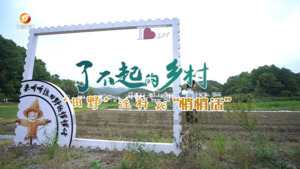 “田野”汪村的“悄悄话”