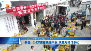 歙县：2.6万亩柑橘迎丰收 农超对接订单忙