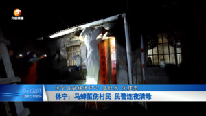 休宁：马蜂蜇伤村民 民警连夜清除