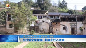 乡村蝶变绽新颜 美丽乡村入画来