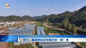 祁门：蔬菜种出乡村振兴好“钱”景