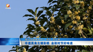 非遗美食古塘彩糕 金秋时节好味道