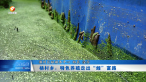 杨村乡 ：特色养殖走出“蛭”富路